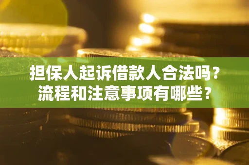 北京担保人起诉借款人合法吗？流程和注意事项有哪些？