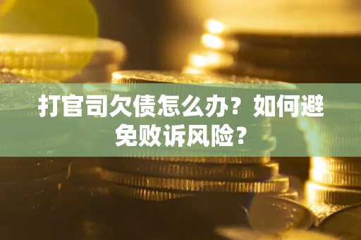 北京打官司欠债怎么办？如何避免败诉风险？