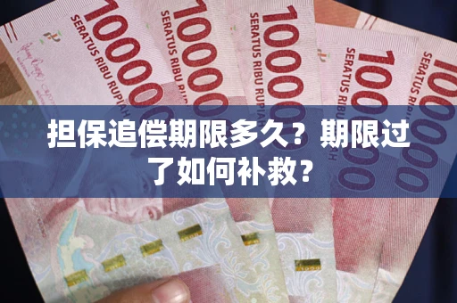 北京担保追偿期限多久？期限过了如何补救？
