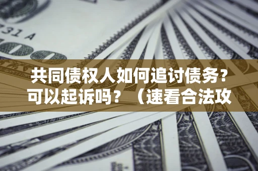 北京共同债权人如何追讨债务？可以起诉吗？（速看合法攻略）
