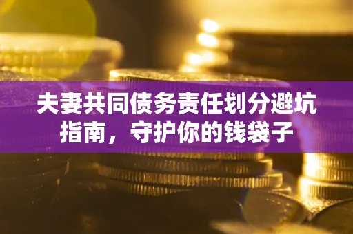 北京夫妻共同债务责任划分避坑指南，守护你的钱袋子