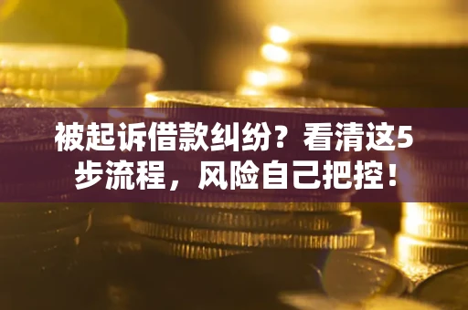 北京被起诉借款纠纷？看清这5步流程，风险自己把控！